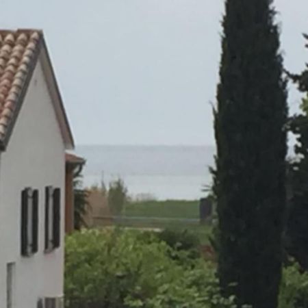 Apartment, 200M From Sea Brtonigla Eksteriør billede