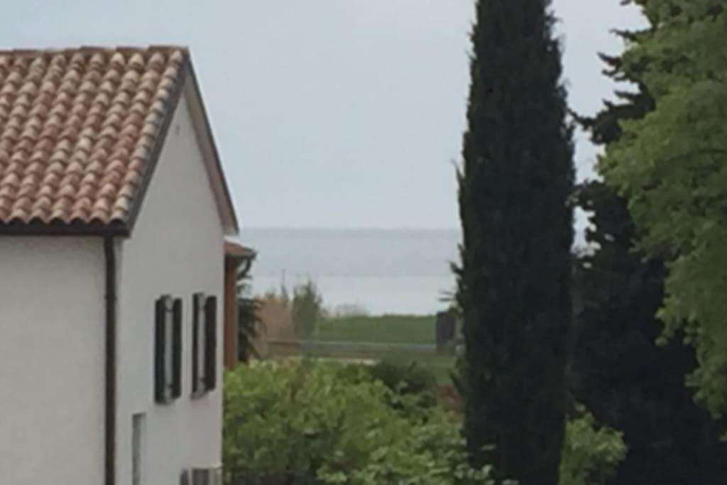 Apartment, 200M From Sea Brtonigla Eksteriør billede